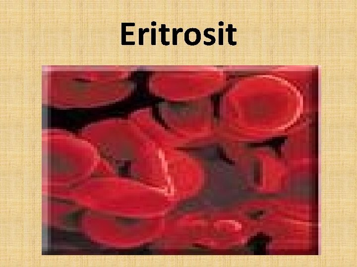 Eritrosit 