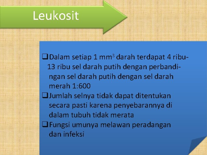 Leukosit q. Dalam setiap 1 mm 3 darah terdapat 4 ribu 13 ribu sel