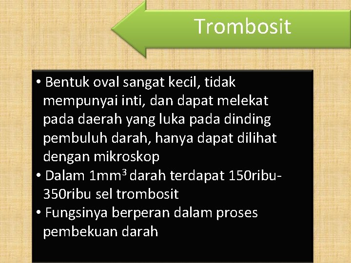 Trombosit • Bentuk oval sangat kecil, tidak mempunyai inti, dan dapat melekat pada daerah