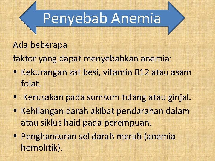 Penyebab Anemia Ada beberapa faktor yang dapat menyebabkan anemia: § Kekurangan zat besi, vitamin