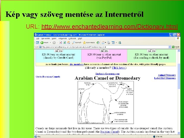 Kép vagy szöveg mentése az Internetről URL: http: //www. enchantedlearning. com/Dictionary. html Képes szótár
