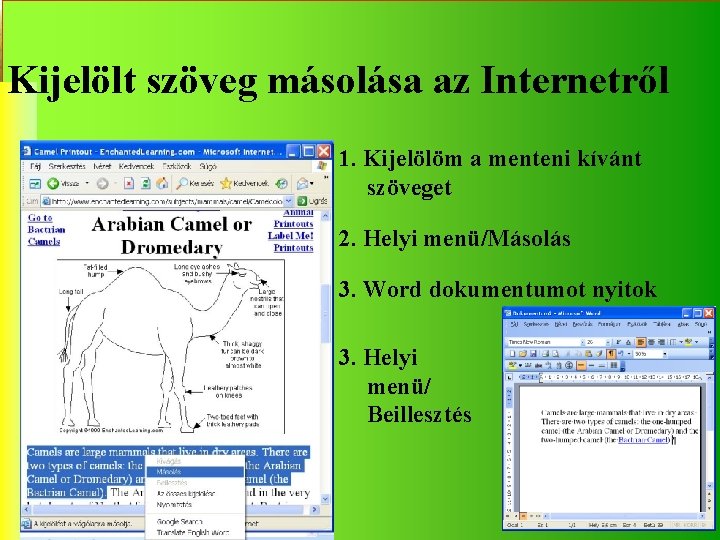 Kijelölt szöveg másolása az Internetről 1. Kijelölöm a menteni kívánt szöveget 2. Helyi menü/Másolás