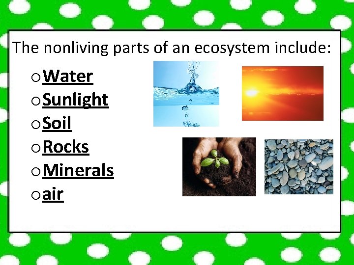 The nonliving parts of an ecosystem include: o. Water o. Sunlight o. Soil o.