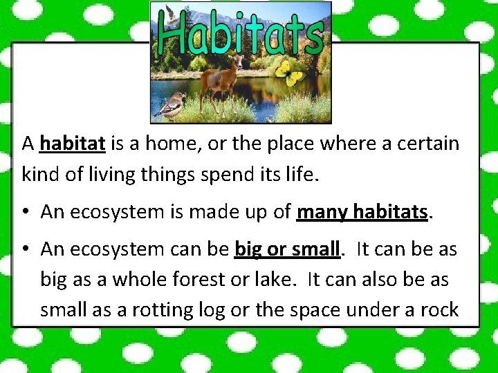 A habitat is a home, or the place where a certain kind of living