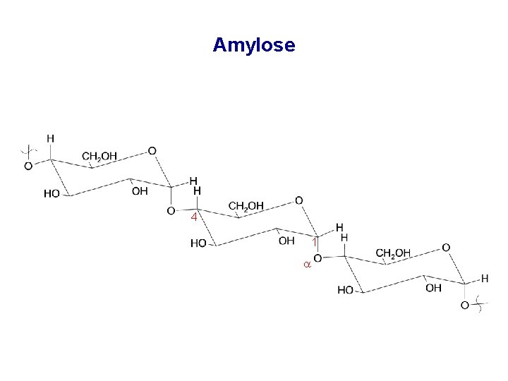 Amylose 4 1 