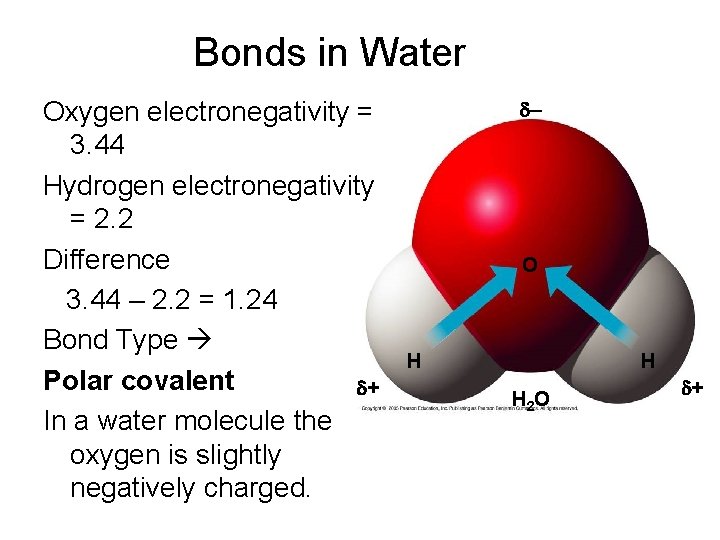 Bonds in Water Oxygen electronegativity = 3. 44 Hydrogen electronegativity = 2. 2 Difference