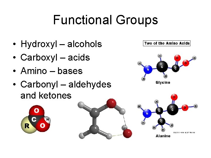 Functional Groups • • Hydroxyl – alcohols Carboxyl – acids Amino – bases Carbonyl