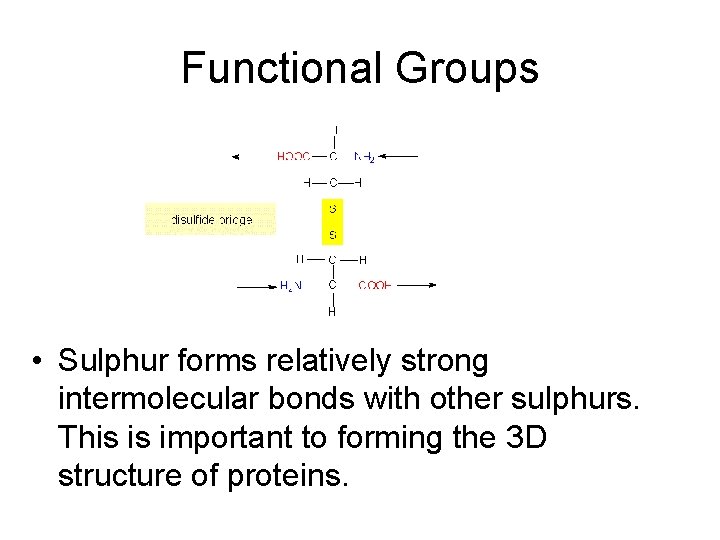 Functional Groups • Sulphur forms relatively strong intermolecular bonds with other sulphurs. This is