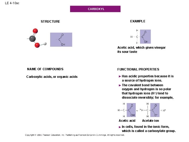 LE 4 -10 ac STRUCTURE EXAMPLE Acetic acid, which gives vinegar its sour taste