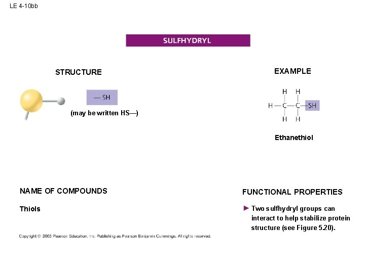 LE 4 -10 bb STRUCTURE EXAMPLE (may be written HS—) Ethanethiol NAME OF COMPOUNDS