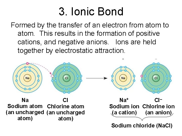 3. Ionic Bond Formed by the transfer of an electron from atom to atom.
