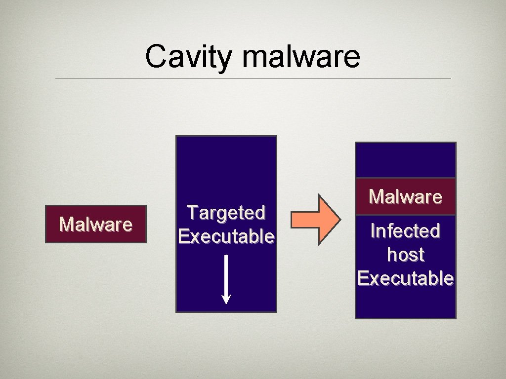 Cavity malware Malware Targeted Executable Malware Infected host Executable 