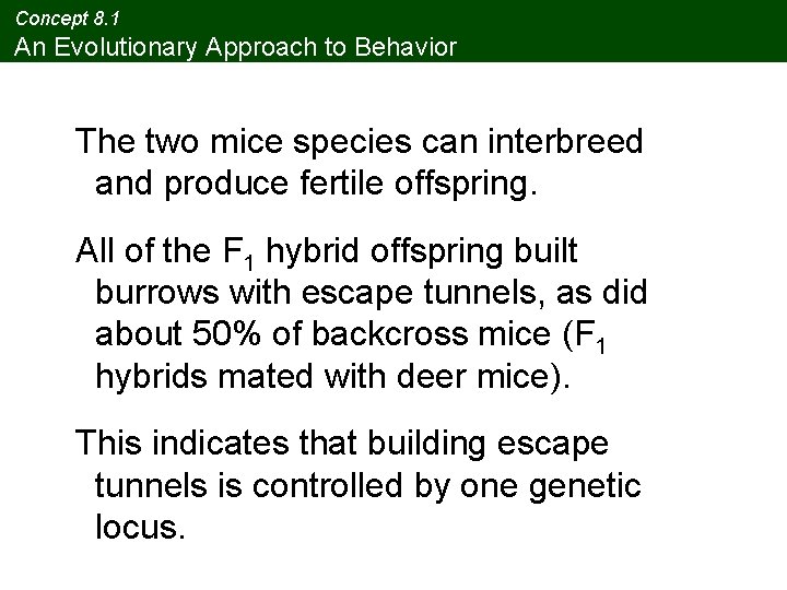 Concept 8. 1 An Evolutionary Approach to Behavior The two mice species can interbreed