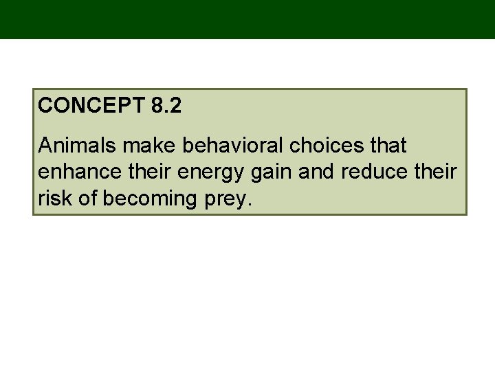 CONCEPT 8. 2 Animals make behavioral choices that enhance their energy gain and reduce