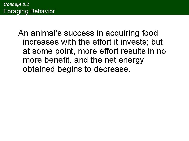 Concept 8. 2 Foraging Behavior An animal’s success in acquiring food increases with the