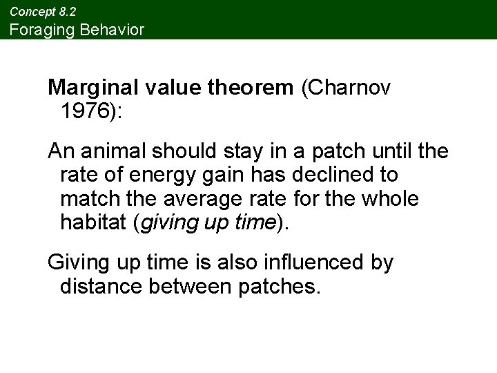 Concept 8. 2 Foraging Behavior Marginal value theorem (Charnov 1976): An animal should stay