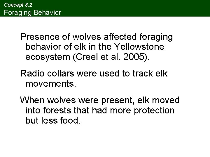 Concept 8. 2 Foraging Behavior Presence of wolves affected foraging behavior of elk in