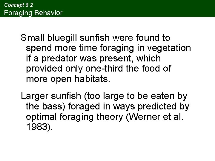 Concept 8. 2 Foraging Behavior Small bluegill sunfish were found to spend more time