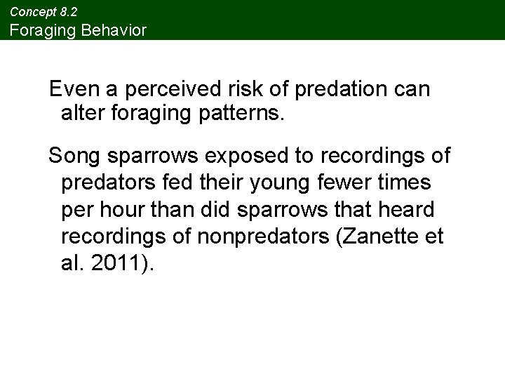 Concept 8. 2 Foraging Behavior Even a perceived risk of predation can alter foraging
