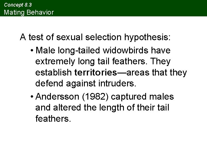 Concept 8. 3 Mating Behavior A test of sexual selection hypothesis: • Male long-tailed