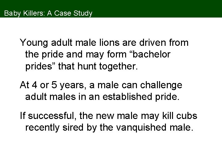 Baby Killers: A Case Study Young adult male lions are driven from the pride