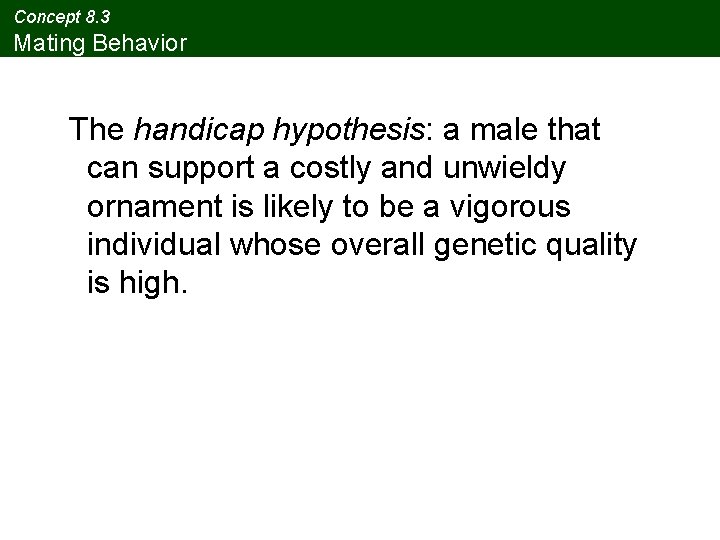 Concept 8. 3 Mating Behavior The handicap hypothesis: a male that can support a