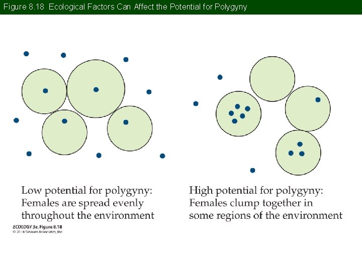 Figure 8. 18 Ecological Factors Can Affect the Potential for Polygyny 
