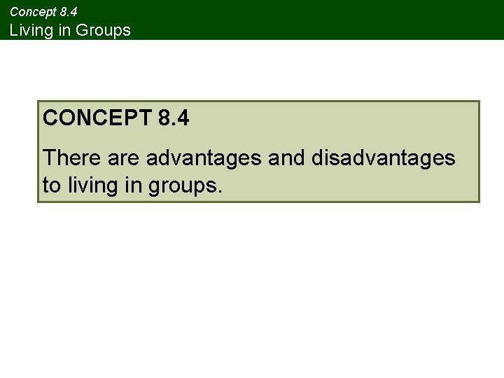 Concept 8. 4 Living in Groups CONCEPT 8. 4 There advantages and disadvantages to