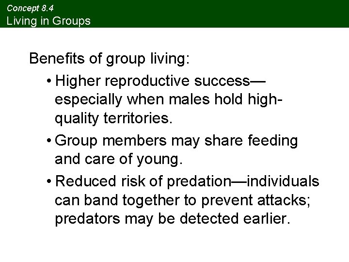 Concept 8. 4 Living in Groups Benefits of group living: • Higher reproductive success—