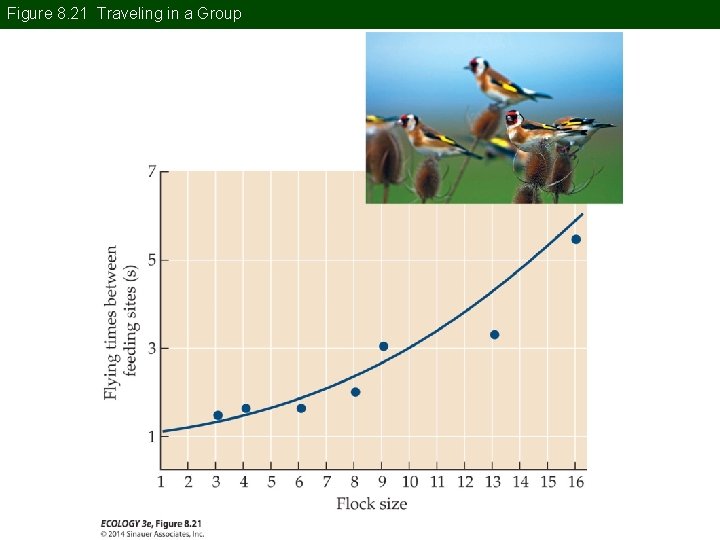 Figure 8. 21 Traveling in a Group 