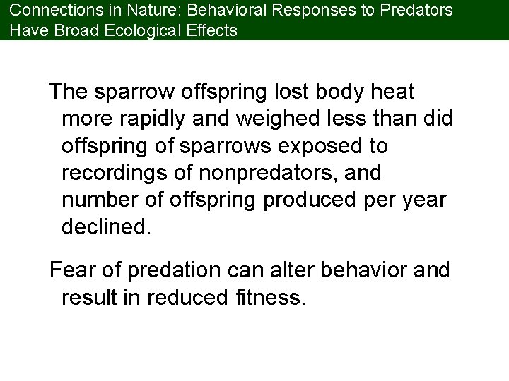 Connections in Nature: Behavioral Responses to Predators Have Broad Ecological Effects The sparrow offspring