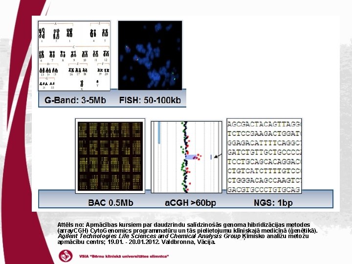 Attēls no: Apmācības kursiem par daudzrindu salīdzinošās genoma hibridizācijas metodes (array. CGH) Cyto. Genomics