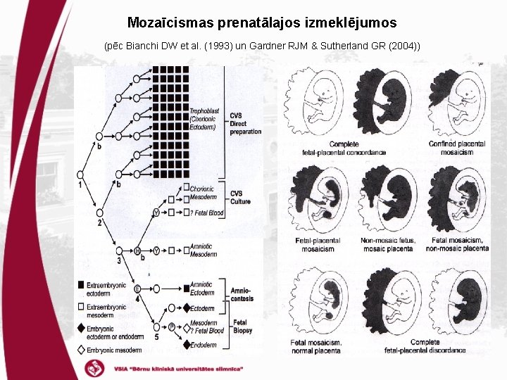 Mozaīcismas prenatālajos izmeklējumos (pēc Bianchi DW et al. (1993) un Gardner RJM & Sutherland