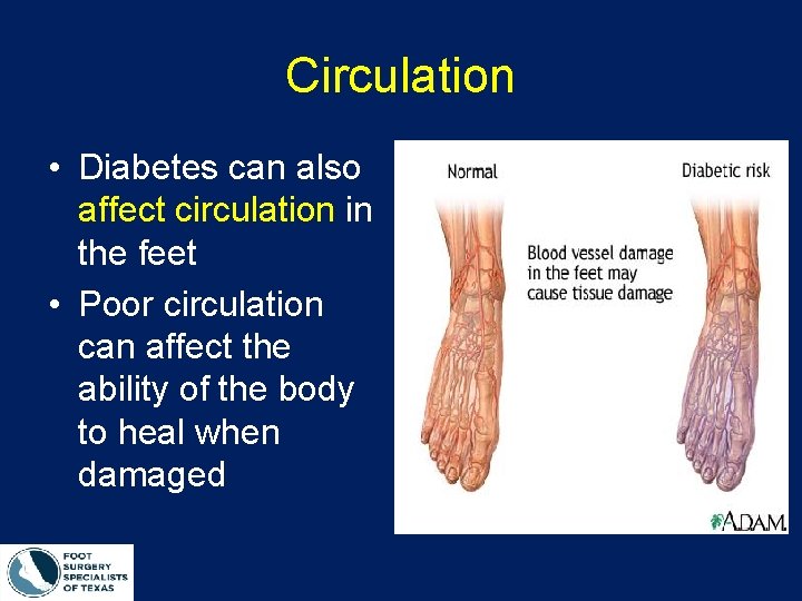 Circulation • Diabetes can also affect circulation in the feet • Poor circulation can