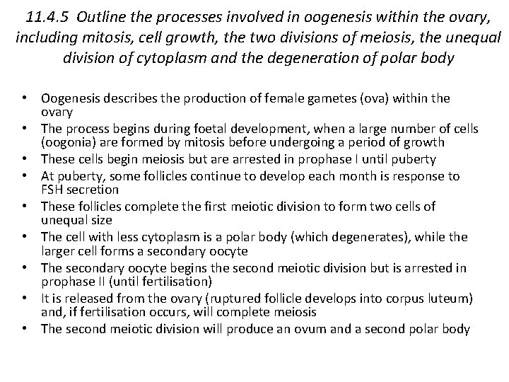 11. 4. 5 Outline the processes involved in oogenesis within the ovary, including mitosis,