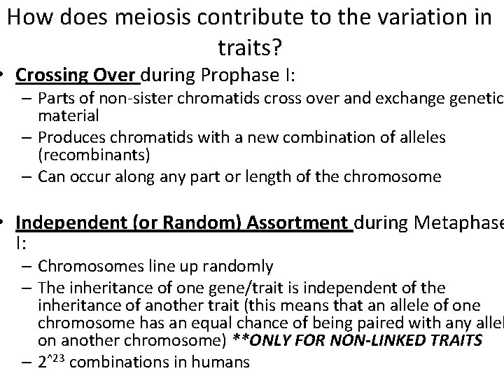 How does meiosis contribute to the variation in traits? • Crossing Over during Prophase