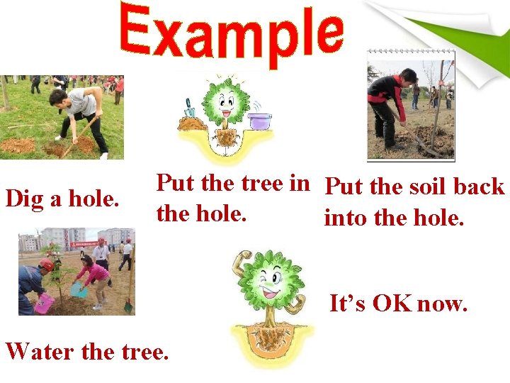 Dig a hole. Put the tree in Put the soil back the hole. into