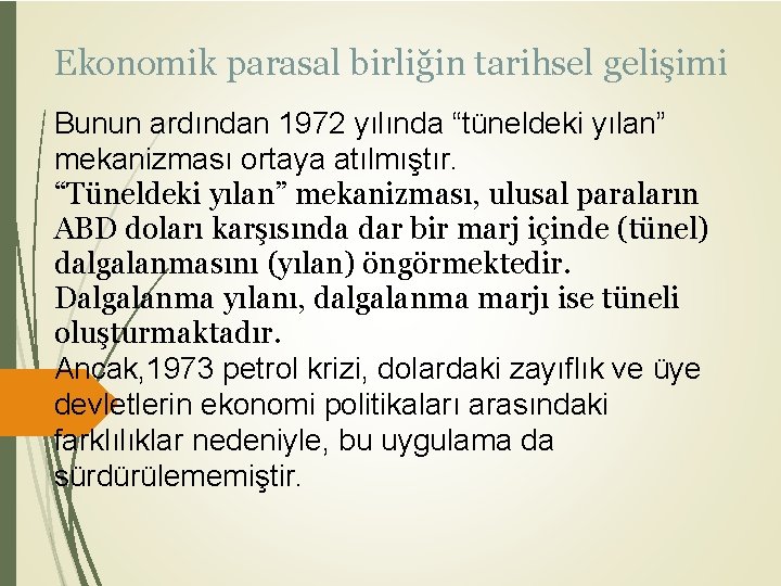 Ekonomik parasal birliğin tarihsel gelişimi Bunun ardından 1972 yılında “tüneldeki yılan” mekanizması ortaya atılmıştır.