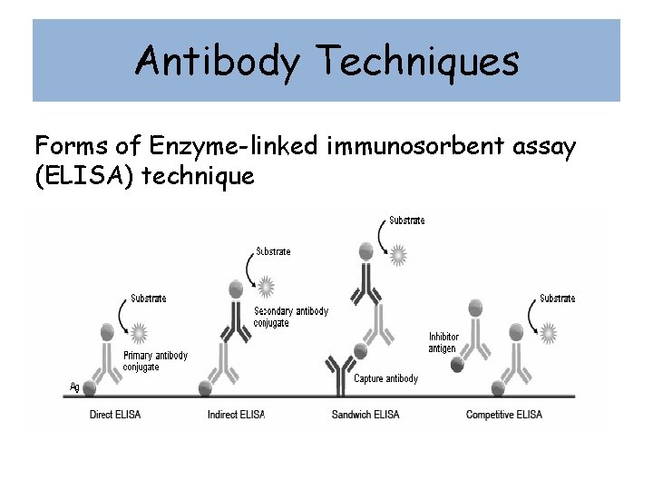 Antibody Techniques Forms of Enzyme-linked immunosorbent assay (ELISA) technique 