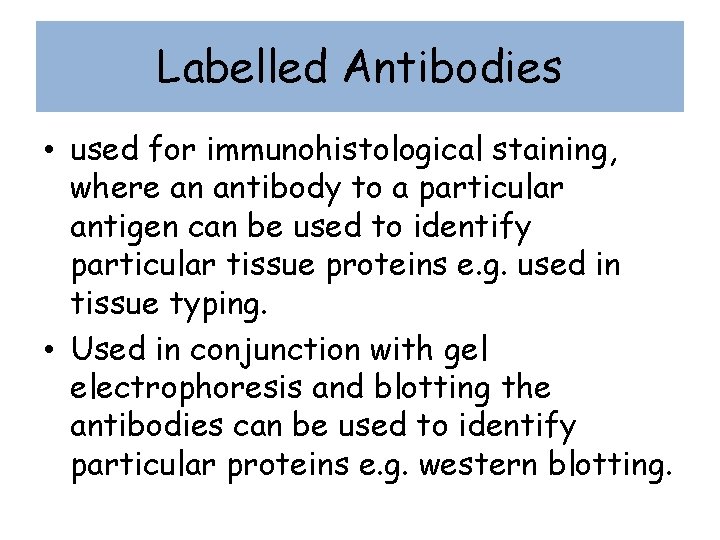 Labelled Antibodies • used for immunohistological staining, where an antibody to a particular antigen