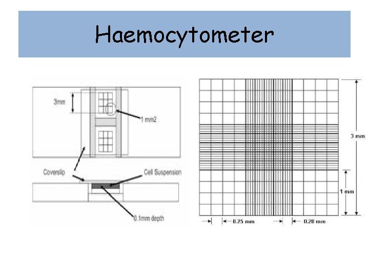Haemocytometer 