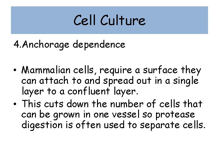 Cell Culture 4. Anchorage dependence • Mammalian cells, require a surface they can attach