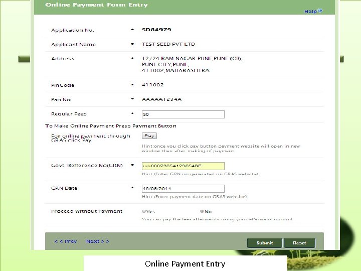 Online Payment Entry 