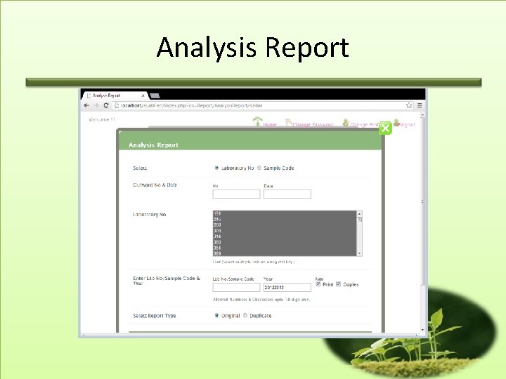 Analysis Report 