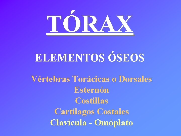 TÓRAX ELEMENTOS ÓSEOS Vértebras Torácicas o Dorsales Esternón Costillas Cartílagos Costales Clavícula - Omóplato