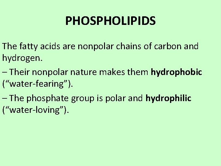 PHOSPHOLIPIDS The fatty acids are nonpolar chains of carbon and hydrogen. – Their nonpolar