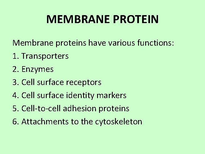 MEMBRANE PROTEIN Membrane proteins have various functions: 1. Transporters 2. Enzymes 3. Cell surface