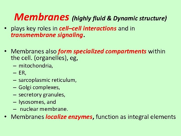 Membranes (highly fluid & Dynamic structure) • plays key roles in cell–cell interactions and