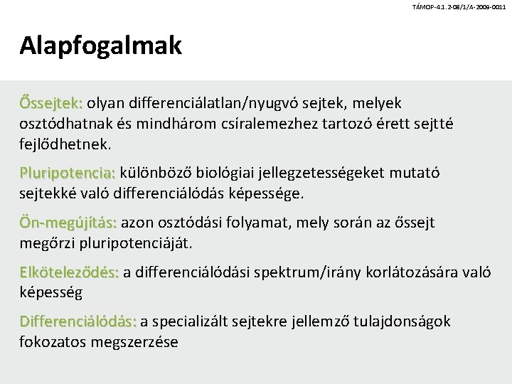 TÁMOP-4. 1. 2 -08/1/A-2009 -0011 Alapfogalmak Őssejtek: olyan differenciálatlan/nyugvó sejtek, melyek osztódhatnak és mindhárom