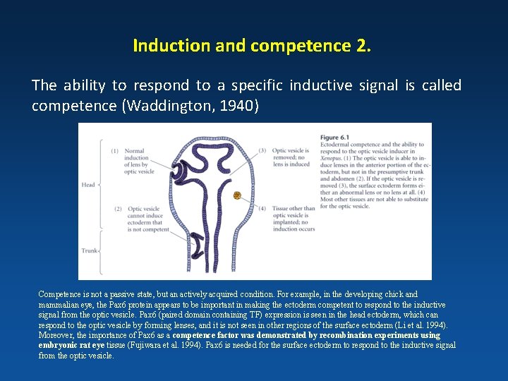 Induction and competence 2. The ability to respond to a specific inductive signal is
